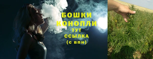 МДПВ Нефтегорск