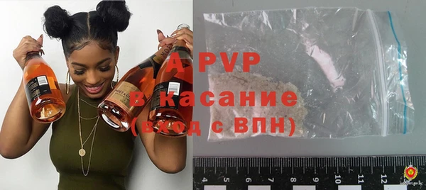 хмурый Нея