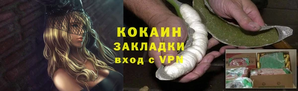 МДПВ Нефтегорск