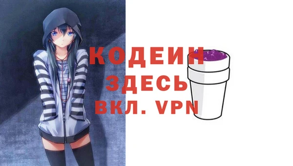 хмурый Нея