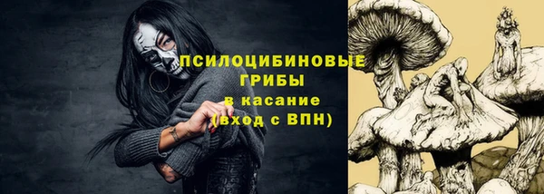 хмурый Нея