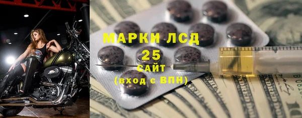 хмурый Нея