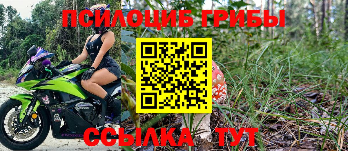 Галлюциногенные грибы мицелий Балтийск