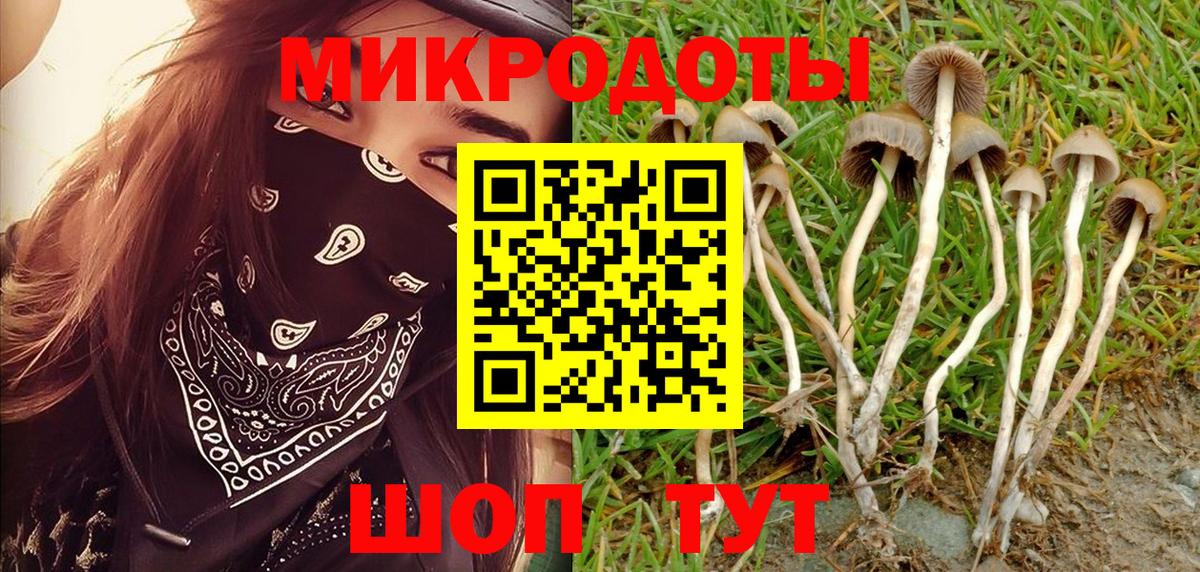 Балтийск  Псилоцибиновые грибы прущие грибы  Вход с VPN 
